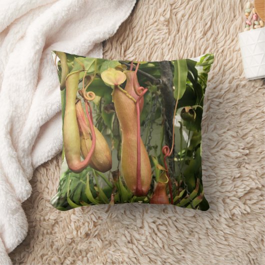 熱帯水球植物 クッション (ブランケット)