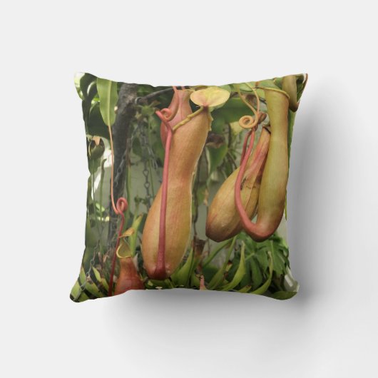 熱帯水球植物 クッション (裏面)