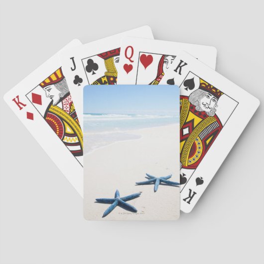 熱帯水辺に2匹のヒトデ トランプ (裏面)