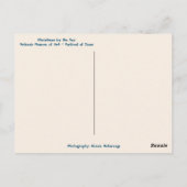 熱帯沿岸の海'nグリーティングクリスマス ポストカード (裏面)