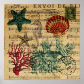 熱帯沿岸サンゴ貝類の海馬 ポスター (正面)