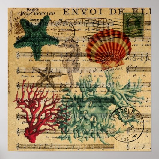 熱帯沿岸サンゴ貝類の海馬 ポスター (正面)