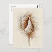 熱帯沿岸ビーチシーシェル水色 ポストカード (正面/裏面)