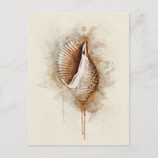 熱帯沿岸ビーチシーシェル水色 ポストカード (正面)