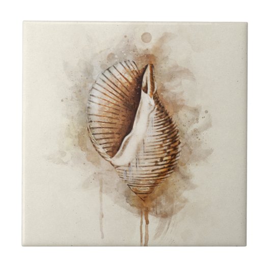 熱帯沿岸ビーチ海殻 タイル (正面)