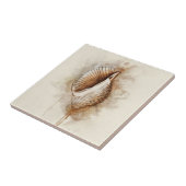 熱帯沿岸ビーチ海殻 タイル (側面)