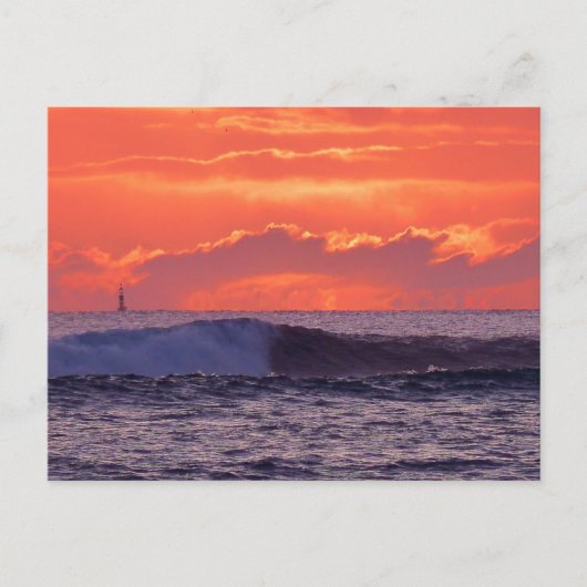 熱帯波 ポストカード (正面)