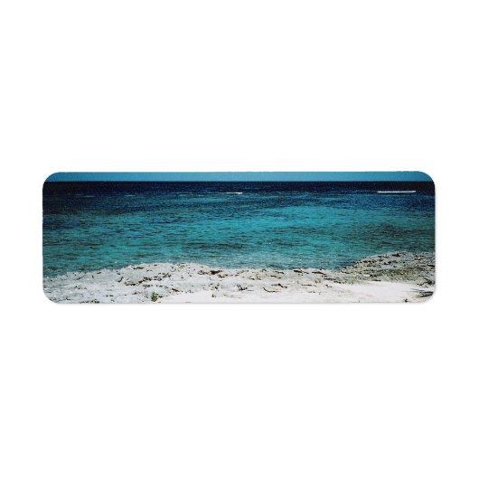 熱帯注視ラベル ラベル (正面)