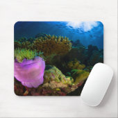 熱帯海サンゴ マウスパッド (マウス)