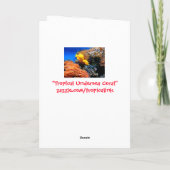 熱帯海中サンゴ カード (裏面)