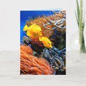 熱帯海中サンゴ カード (正面)