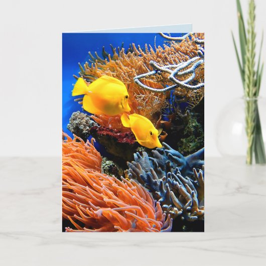 熱帯海中サンゴ カード (正面)