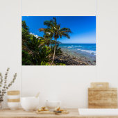 熱帯海岸線 ポスター (キッチン)