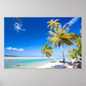 熱帯海岸線 ポスター (正面)