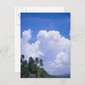 熱帯海岸線 ポストカード (正面/裏面)