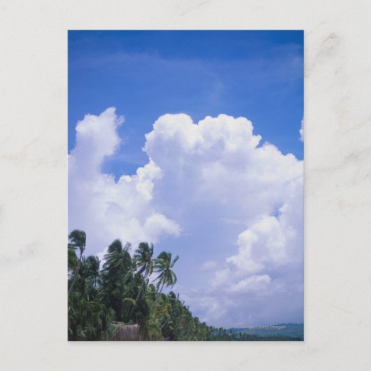 熱帯海岸線 ポストカード (正面)