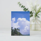 熱帯海岸線 ポストカード (スタンド正面)