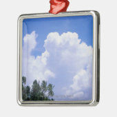 熱帯海岸線 メタルオーナメント (左)