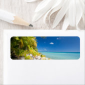 熱帯海岸線 ラベル (インサイチュ)