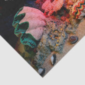 熱帯海底珊瑚のハマグリの貝殻 薄葉紙 (詳細)