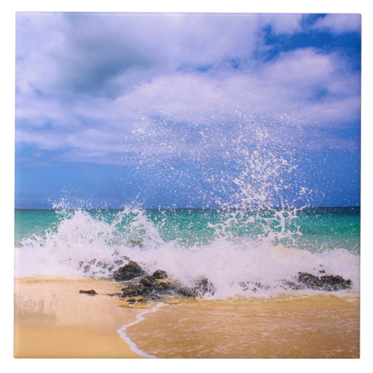 熱帯海波飛沫 タイル (正面)