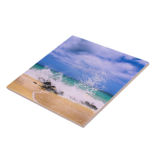 熱帯海波飛沫 タイル (側面)