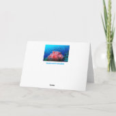 熱帯海洋生物のピンクの白熱［赤熱］光を放つなアネモネの珊瑚 カード (裏面)