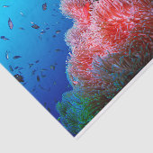 熱帯海洋生物のピンクの白熱［赤熱］光を放つなアネモネの珊瑚 薄葉紙 (詳細)