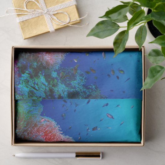 熱帯海洋生物のピンクの白熱［赤熱］光を放つなアネモネの珊瑚 薄葉紙 (ギフト)