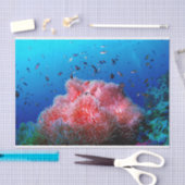 熱帯海洋生物のピンクの白熱［赤熱］光を放つなアネモネの珊瑚 薄葉紙 (クラフト)