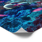 熱帯海洋生物 ポスター (角)