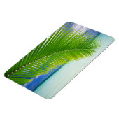 熱帯海磁石 マグネット (左側)