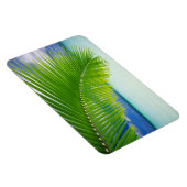 熱帯海磁石 マグネット (右側)