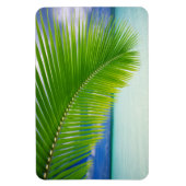 熱帯海磁石 マグネット (縦)