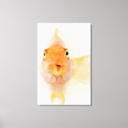 熱帯淡水魚 キャンバスプリント (正面)