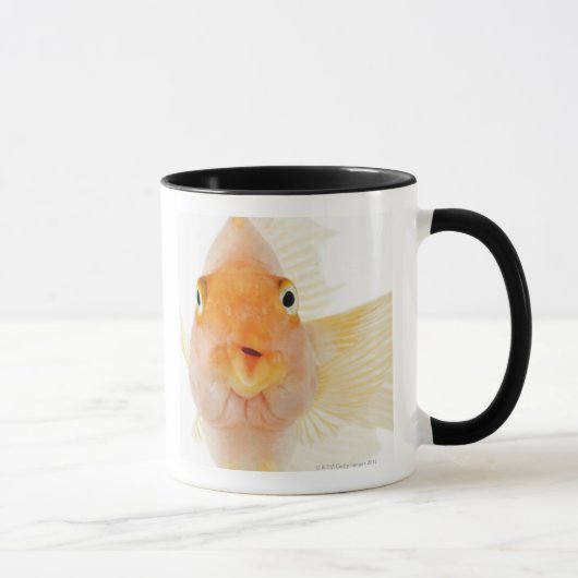 熱帯淡水魚 マグカップ (右)