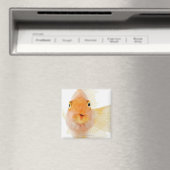 熱帯淡水魚 マグネット (インサイチュ (食洗機))