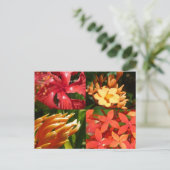 "熱帯熱"郵便はがき ポストカード (スタンド正面)