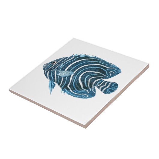 熱帯珊瑚礁の魚 タイル (側面)