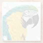 熱帯産オウム ガラスコースター (裏面)