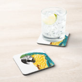 熱帯産オウム コースター (右側)