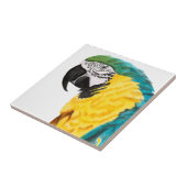 熱帯産オウム タイル (側面)