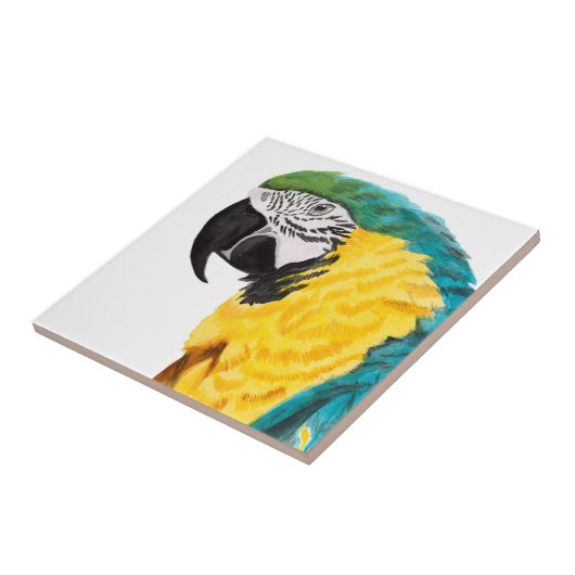 熱帯産オウム タイル (側面)