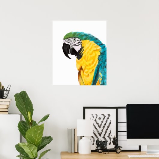 熱帯産オウム ポスター (ホームオフィス)