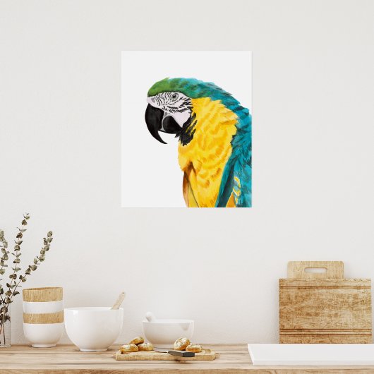 熱帯産オウム ポスター (キッチン)