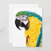 熱帯産オウム ポストカード (正面/裏面)