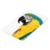 熱帯産オウム マグネット (左側)