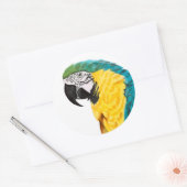 熱帯産オウム ラウンドシール (封筒)