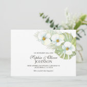 熱帯白オーキッド結婚の発表 (スタンド正面)