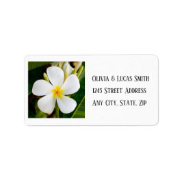 熱帯白プルメリア – 新しい始結婚まり ラベル
